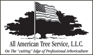 All American Tree Service, LLC